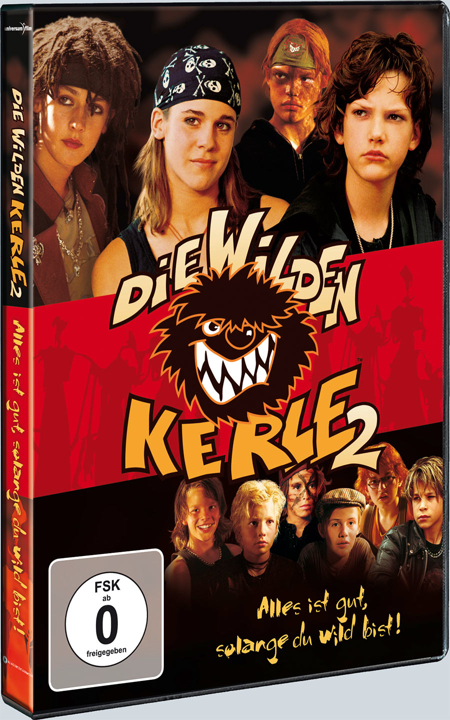DVD-Cover Die Wilden Kerle 2